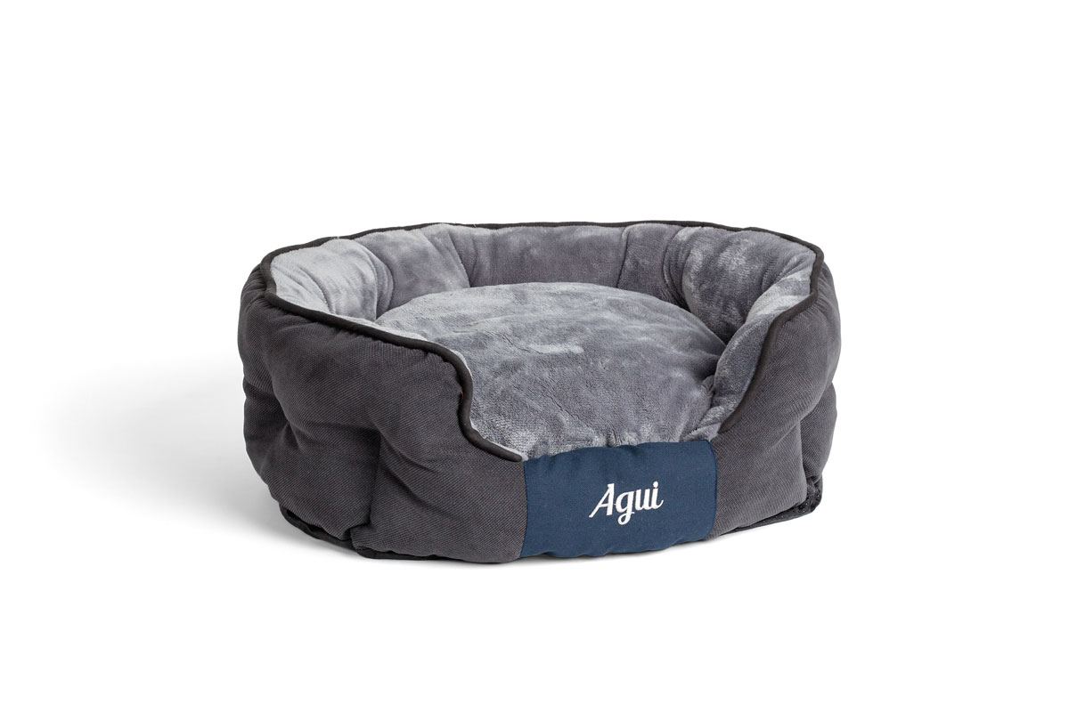 Agui